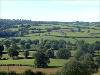 Teifi Valley at Lampeter, West Wales.