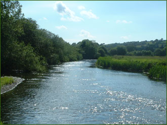 The River Teifi at Lampeter, West Wales.